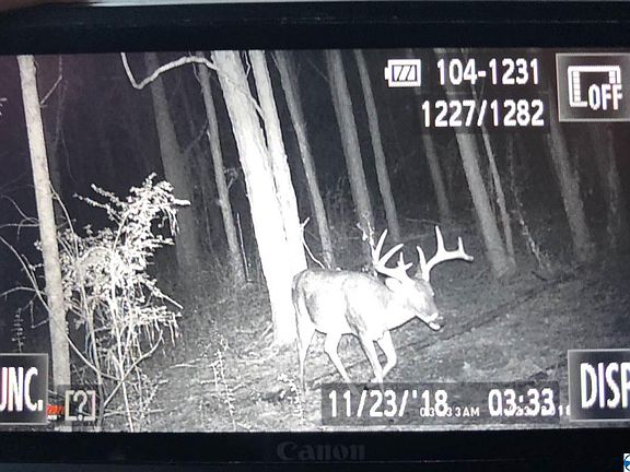4th image of 9869 Al Highway 79 S