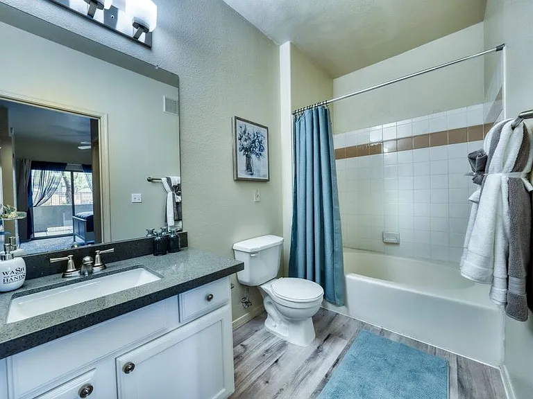 Renovated C1 and C1D Master Bathroom