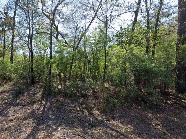0 Yellow River Log Lake Rd, Holt, FL 32564