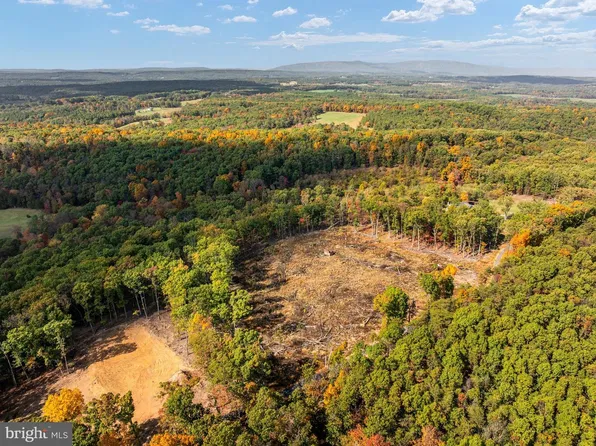 Scuttlebutt Rd, Winchester, VA 22603