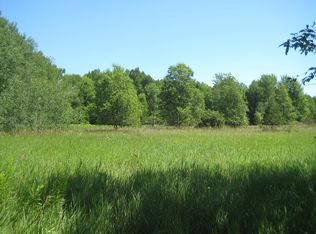 Barney Rd, Alanson, MI 49706