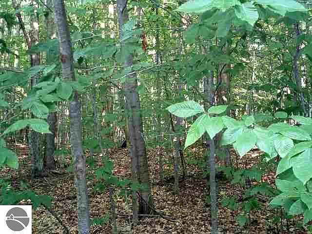 1st image of LOT 42 Heideldorf Dr