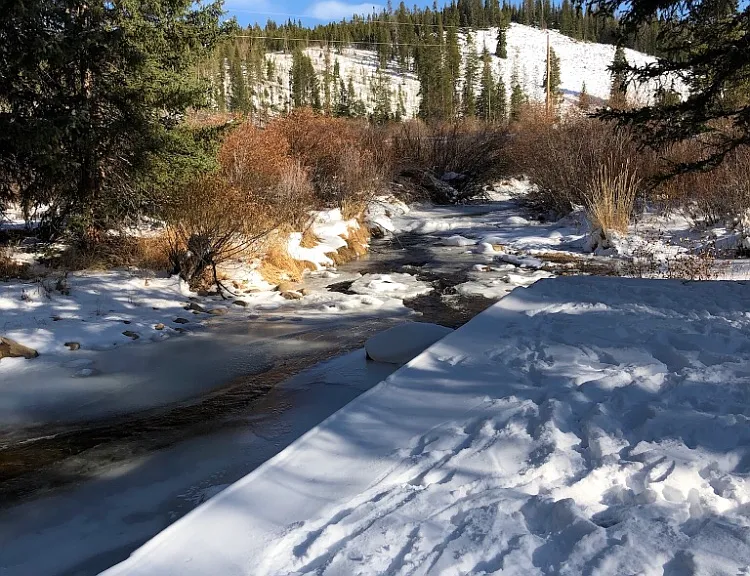 801 Trailhead Cir #814 — Photo 4