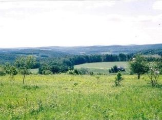 Sam Holdridge Rd, Garrattsville, NY 13342