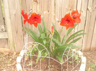 3327 Bluebonnet Meadows Ln, Houston, TX 77084