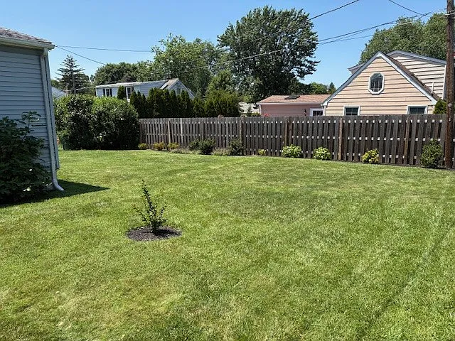 Backyard from the right side of the house. Recent landscaping