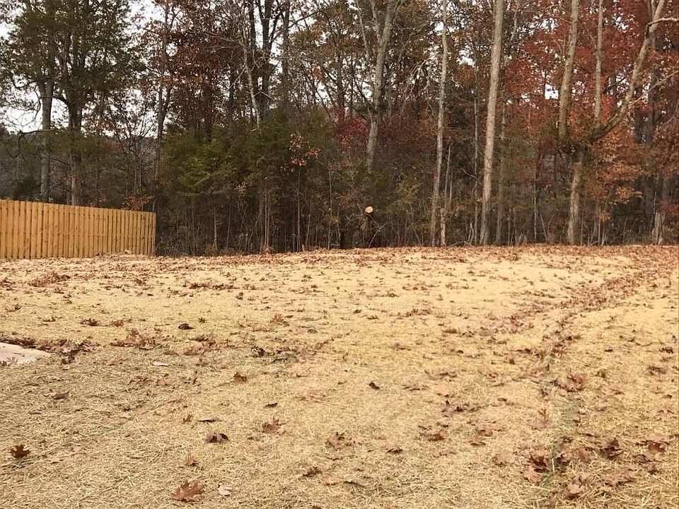 Private level backyard