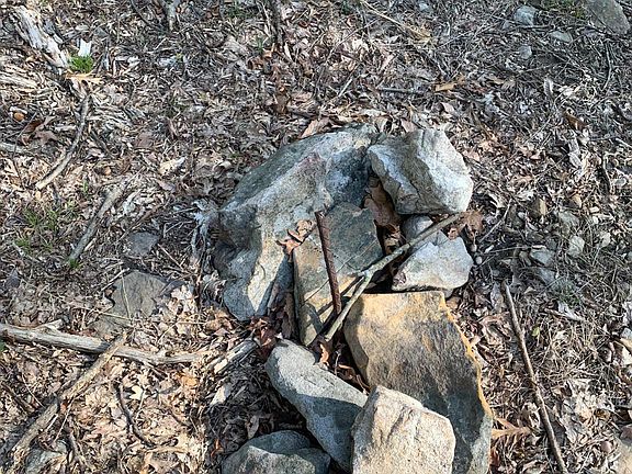 2nd image of Black Bear Rd