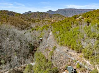 272 Cove Hollow Rd, Cosby, TN 37722