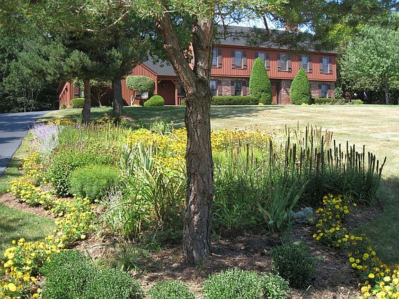 View from foot of garden along driveway