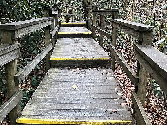 Awesome trails nearby 