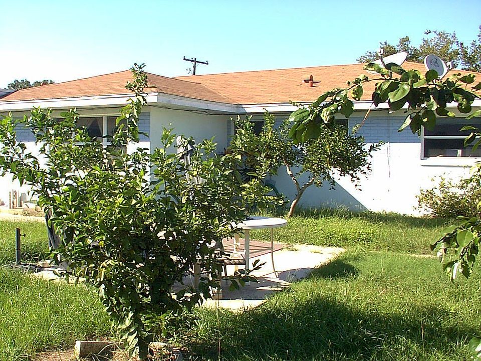 Citrus in Fenced Back Yard