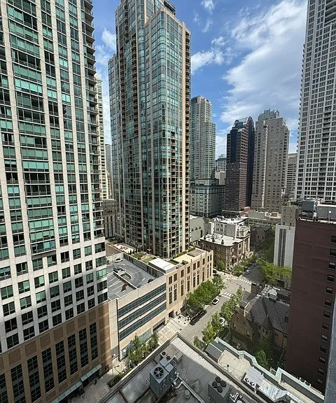 10 E Ontario St #2008 — Photo 29
