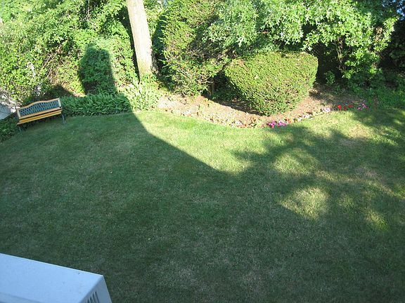 Aerial View of Backyard
