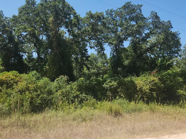 0 New Mexico Pkwy, Normangee, TX 77871