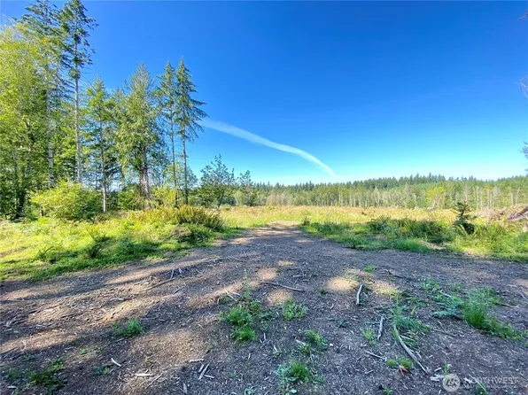 4350 Lot D SE Lynch Road, Shelton, WA 98584