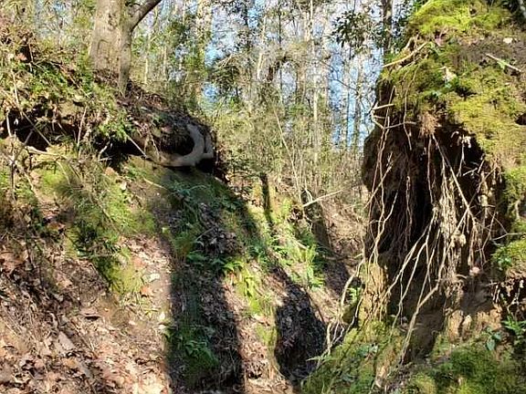 4th image of 5629 W Airport Rd