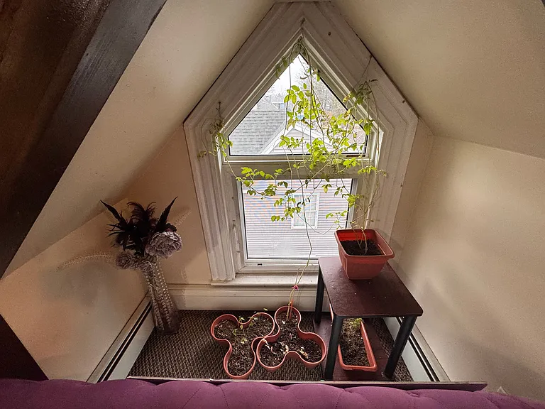 154 Tolman St #4 — Photo 18