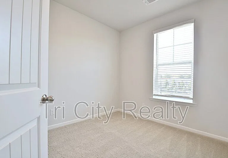 250 Cobalt Dr — Photo 50