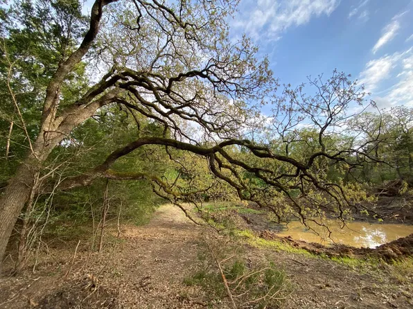 PARCEL 2 Paffen Rd, Paige, TX 78659