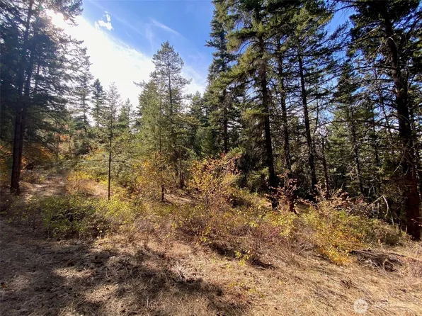 8888 Deer Creek Drive, Waterville, WA 98858