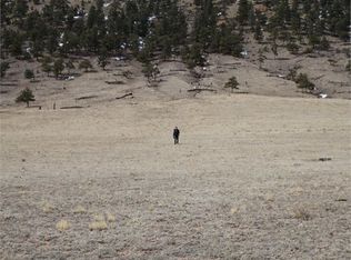 835 Sulphur Mountain Rd, Lake George, CO 80449