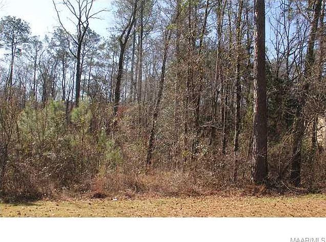 1st image of 115 Bent Oak Ln