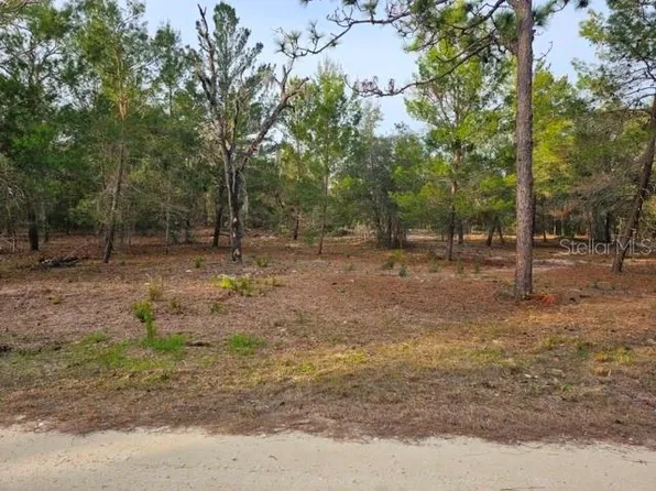 6341 W Stockholm Ln Lot 420, Dunnellon, FL 34433