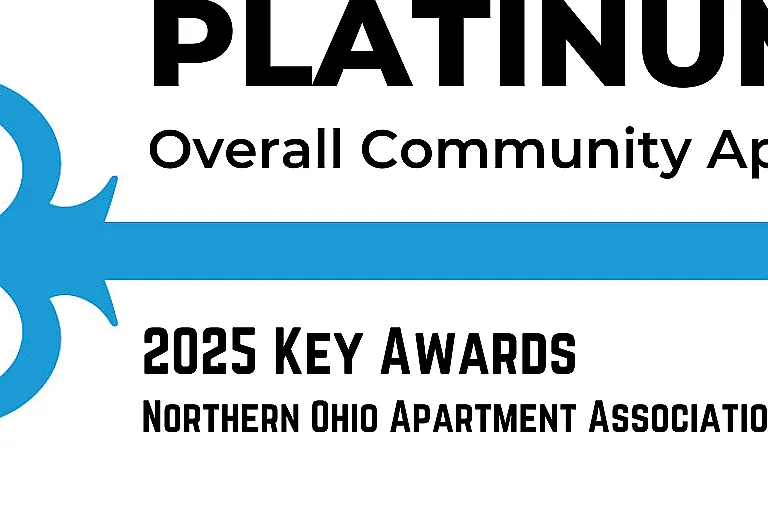 Platinum Award