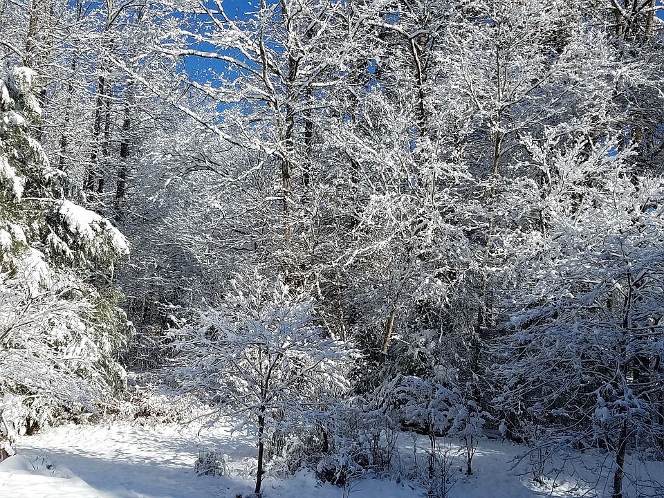 Corner of Pond by Barn
