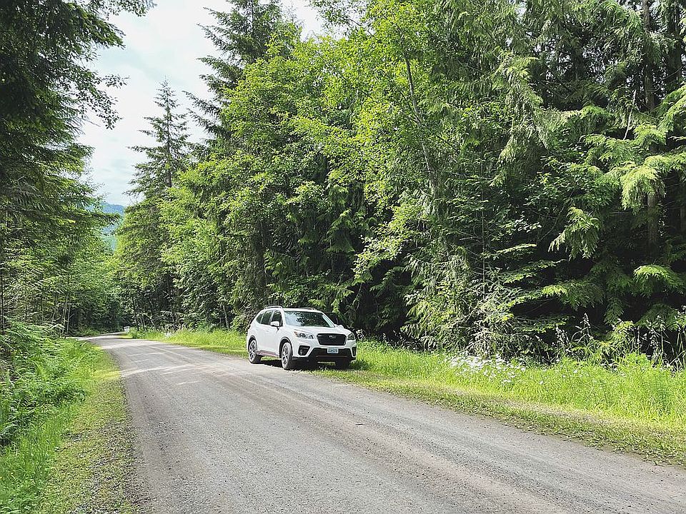 2nd image of Lone Tree Dr