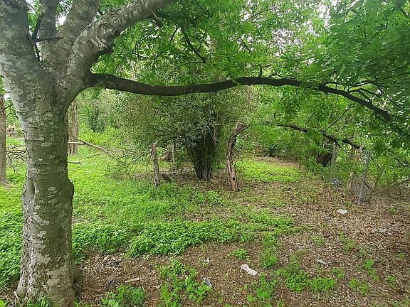 3rd image of 354 Bundy LOT 14