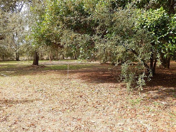 4th image of 1959 County Road 16a S