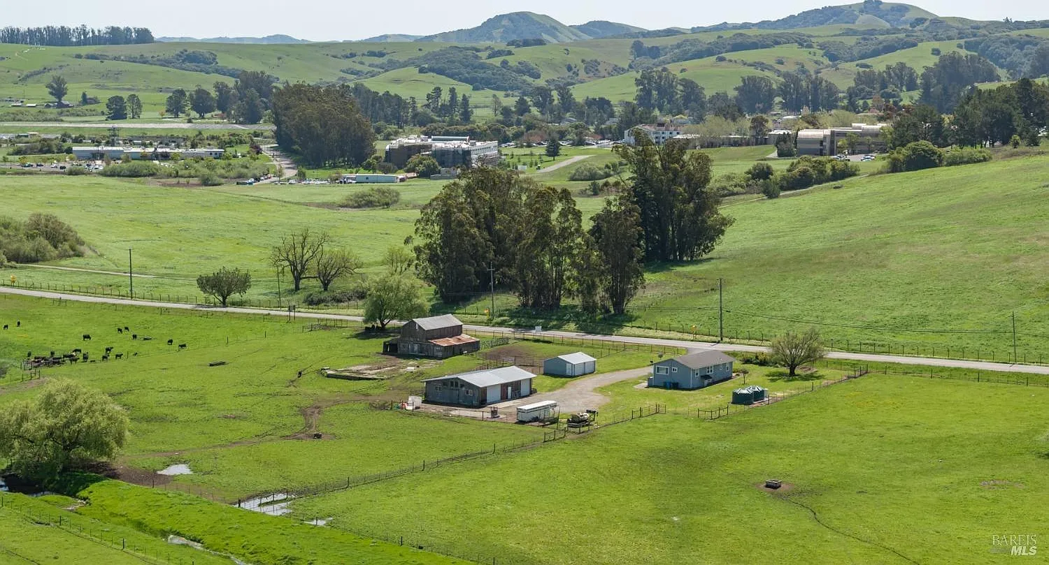 530 Tomales Road - Photo 7
