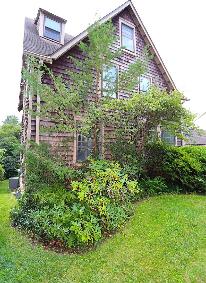 4 bed, 2659 sqft, $3,450 — Photo 4