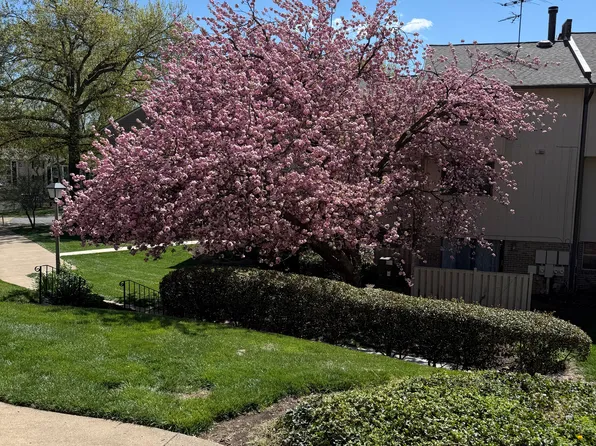 2518 Glengyle Dr, Vienna, VA 22181