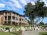 Gorgeous 1429sf Condo!