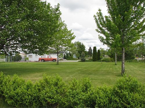 Front yard looking east