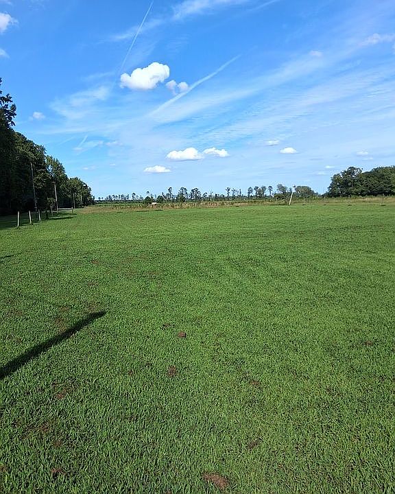 Horse pasture.