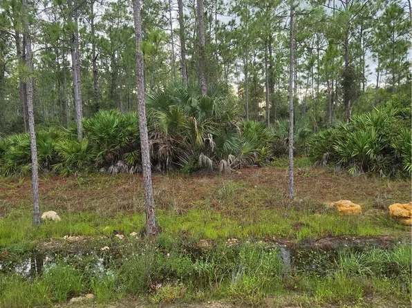 2311 Truman Ave, Alva, FL 33920