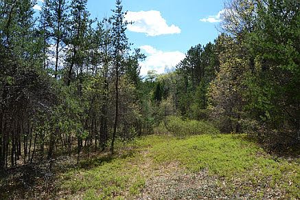 Actual photo of the property