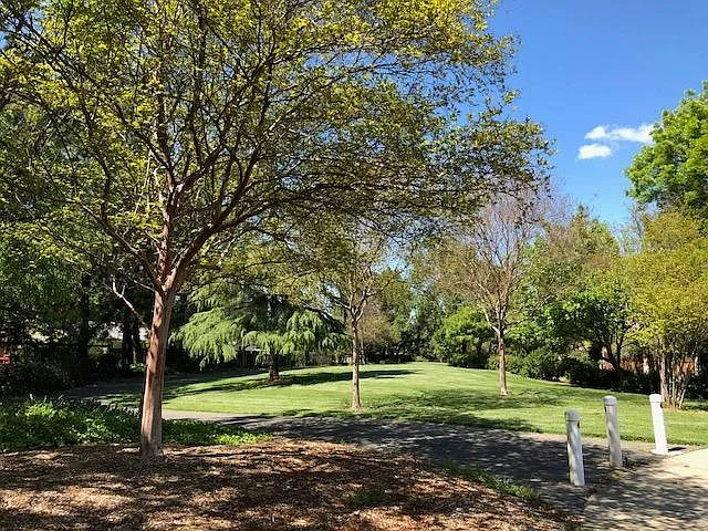 Greenbelt facing north