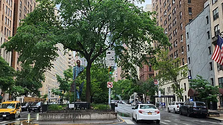 Rented by Bond New York