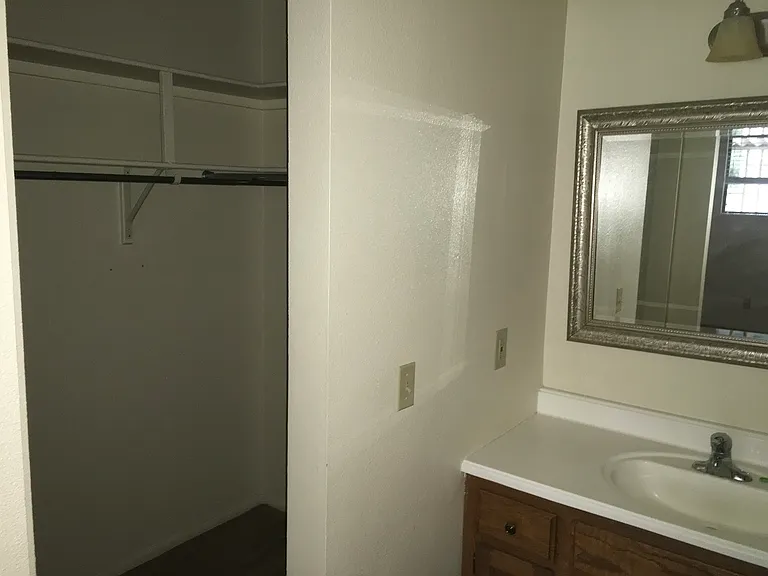 Master Walk in Closet showing separate bathroom sink
