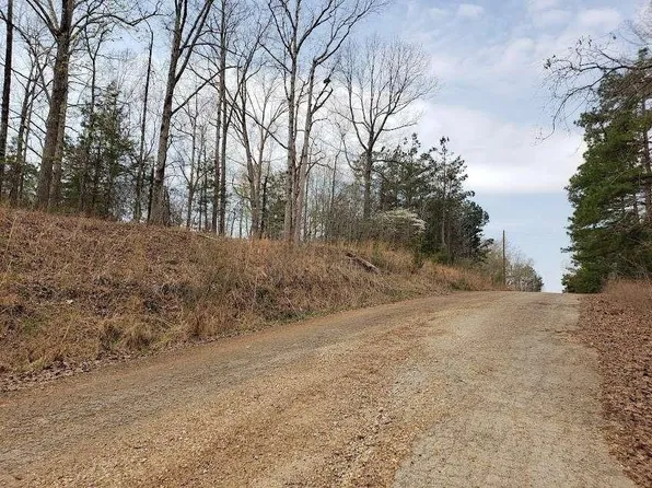 1170 Edgewood Dr, Saulsbury, TN 38067