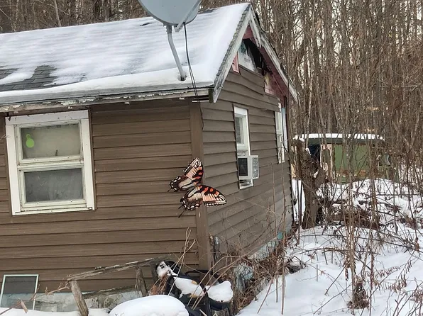 41 Foss Flats Rd, North Sandwich, NH 03259