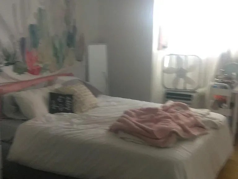 3 bed, 1200 sqft, $1,900 — Photo 3