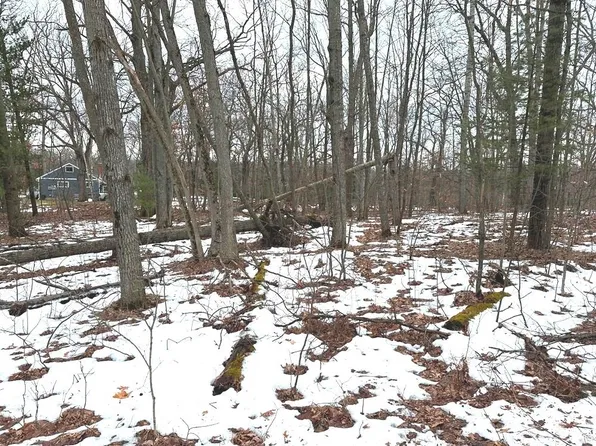 Nhn Fire Ln, Lake, MI 48632