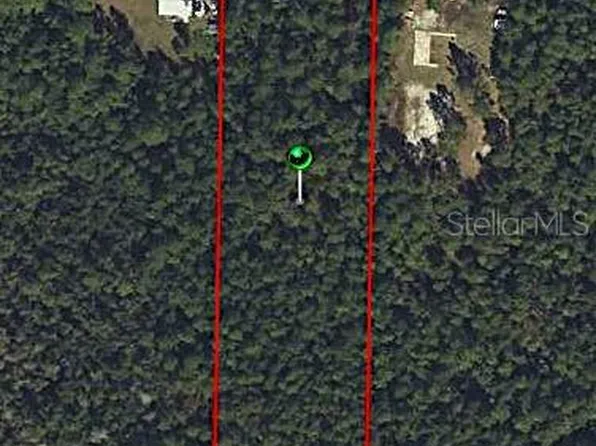 Swamp Deer Rd Lot 5, New Smyrna Beach, FL 32168