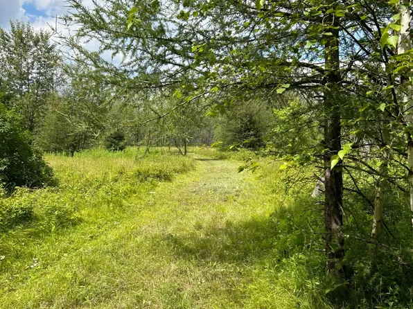LOT 44 Big Cub Trl, Laona, WI 54541